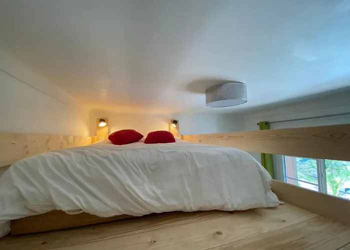 Apartamento L Annexe 50m De La Bandol