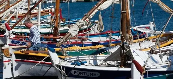 L Annexe 50m De La *