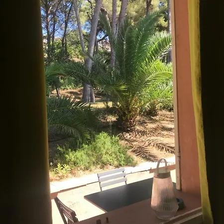 L Annexe 50m De La *