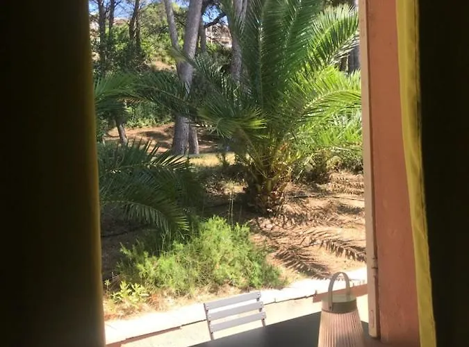 L Annexe 50m De La *